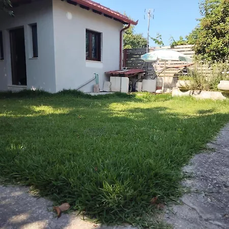 Anastasia Λεπτοκαρυά