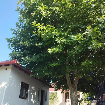 Anastasia * Λεπτοκαρυά